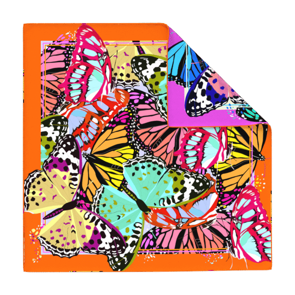 Univers Papillonnant – Image 3