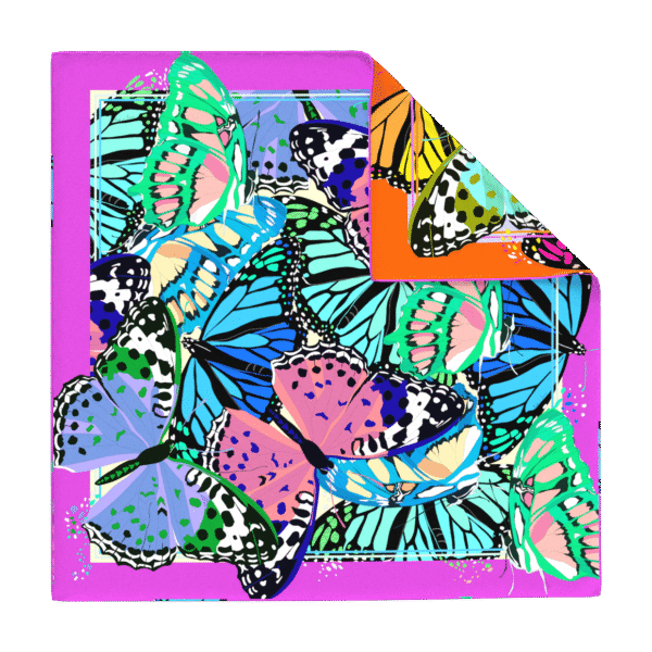 Univers Papillonnant – Image 4